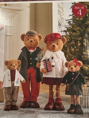 Family Christmas Bear Costume Set - Red & Brown Holiday Outfit